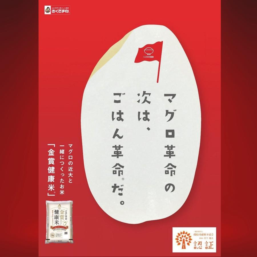 幸南食糧 おくさま印 金賞健康米はえぬき 1kg