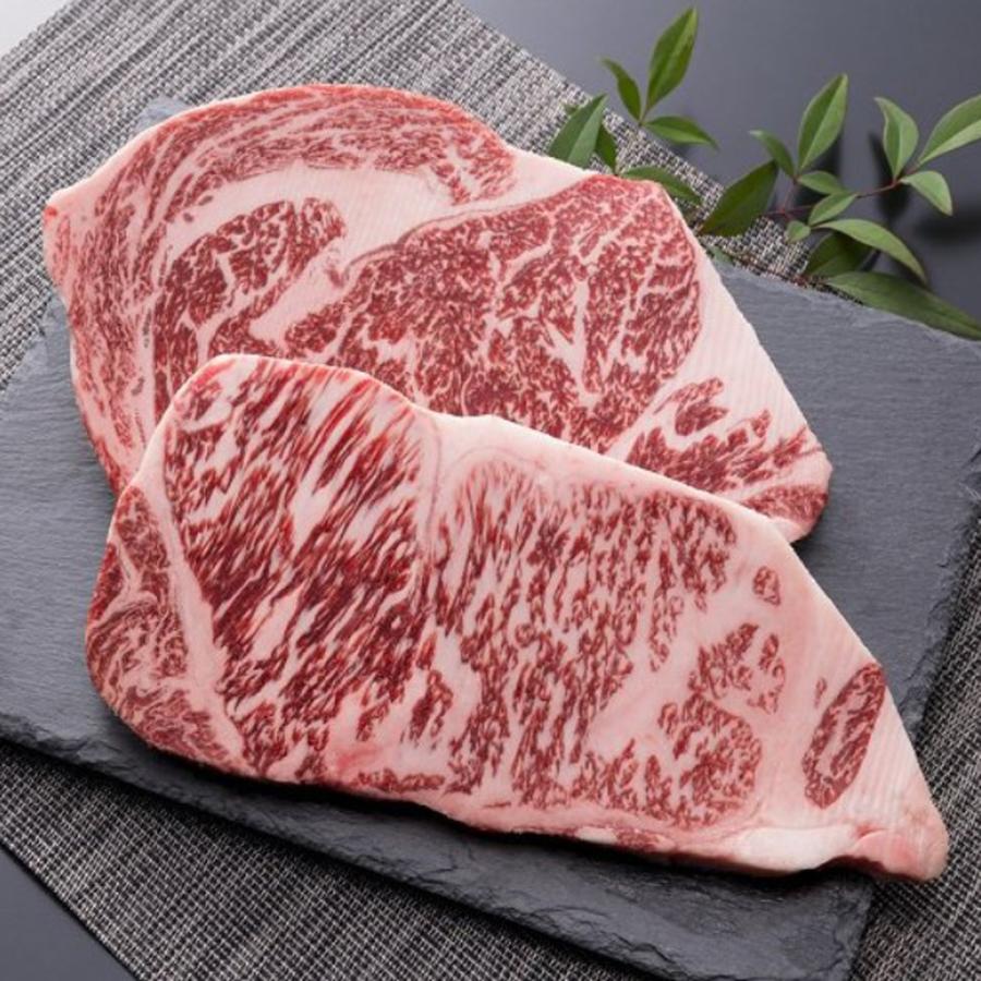 肉 ステーキ サーロイン リブロース A3等級以上 和牛のルーツ 特選千屋牛 400g（200g×2枚）岡山県