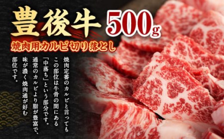 豊後牛 焼肉用 カルビ 切り落とし 500g 牛肉 中落ち