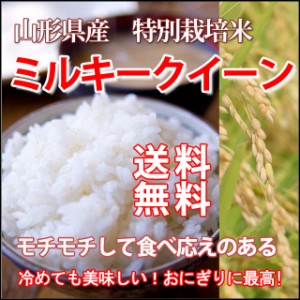 令和２年 2020年 予約 新米 ミルキークイーン 米 新米 新米令和元年 白米 5kg 送料無料 山形 山形県 31年 新米予約 令和新米 令和元年新