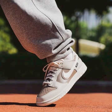 NIKE DUNK GORE-TEX 米棕 立體勾 男鞋 防水 HQ2053-002