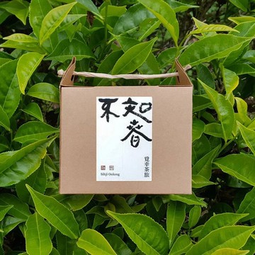 不知春 | 茶包10入【四季春茶】