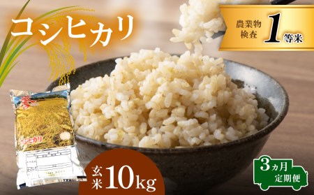 定期便 コシヒカリ 玄米 10kg 3回定期 真岡産