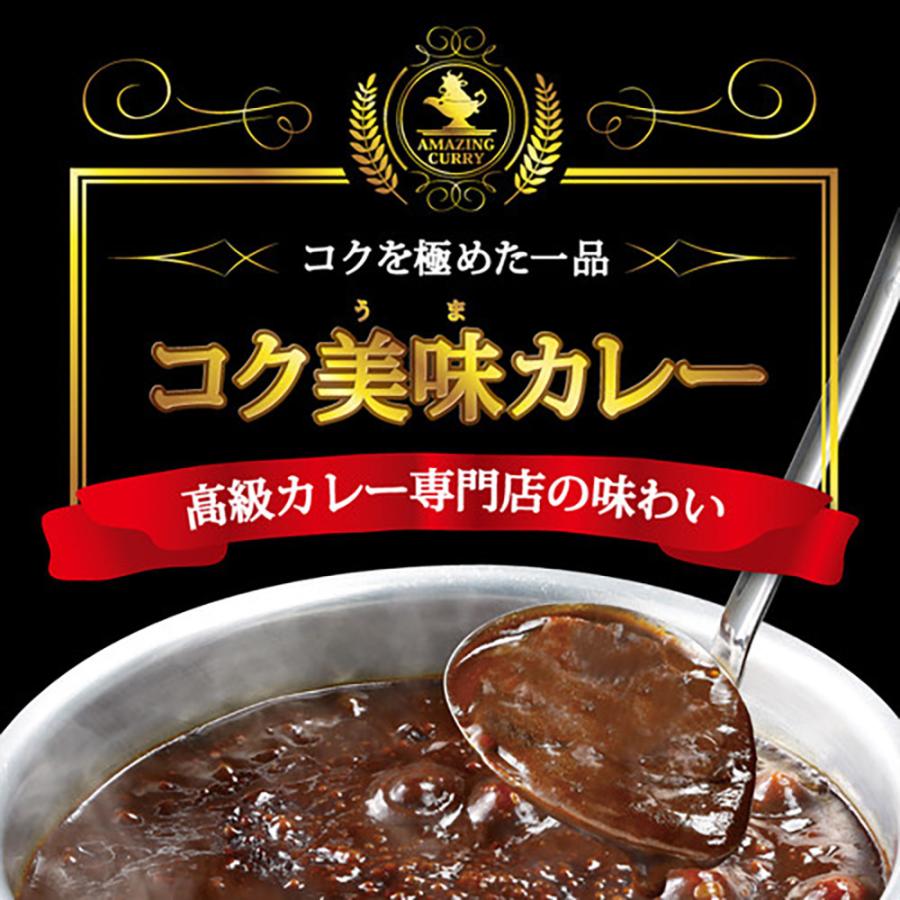 カレー 100時間カレー 1袋 300円 ポイント消化 コク美味カレー 4袋セット