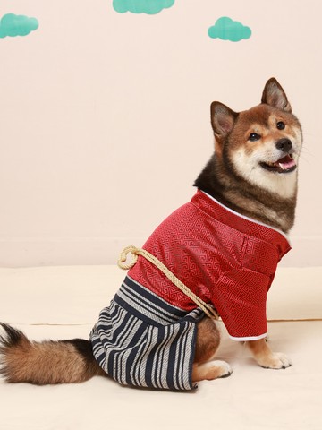 日本和風武士服和服寵物衣服