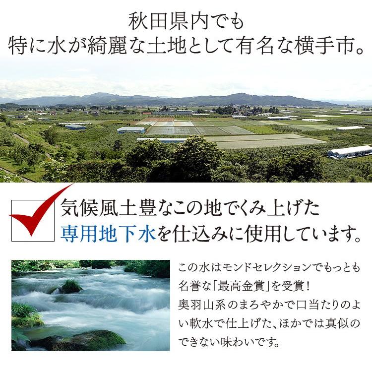 黒挽きそば４食（生そば＆自家製つゆ）モンドセレクション１５年連続金賞受賞の生蕎麦