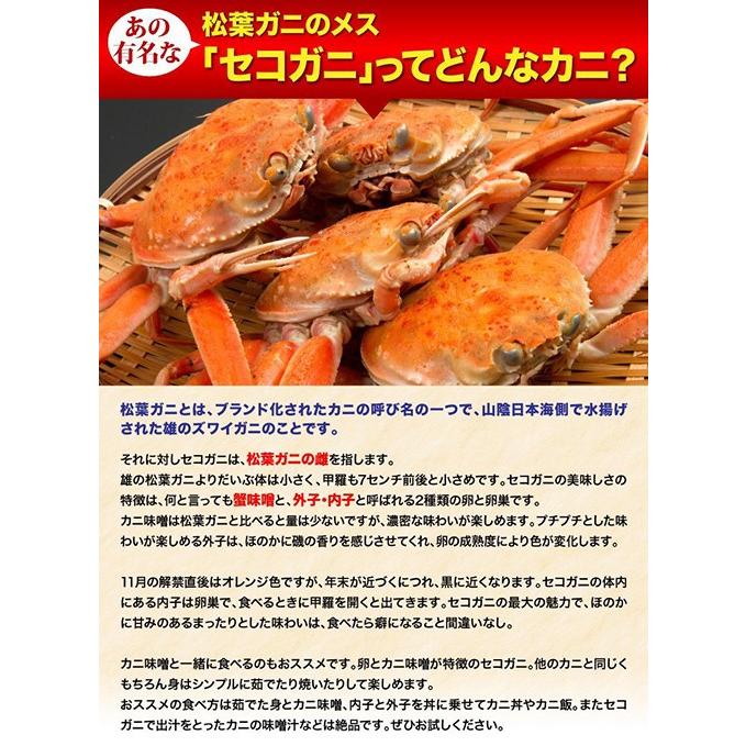 訳ありセコガニ(活)松葉ガニの雌 総重量1kg前後