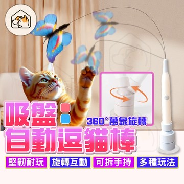 【多種玩法👍】吸盤自動逗貓棒 吸盤逗貓棒 電動逗貓棒 飛舞蝴蝶 蝴蝶鋼絲逗貓玩具 彈性逗貓棒 鋼絲逗貓棒 逗貓玩具