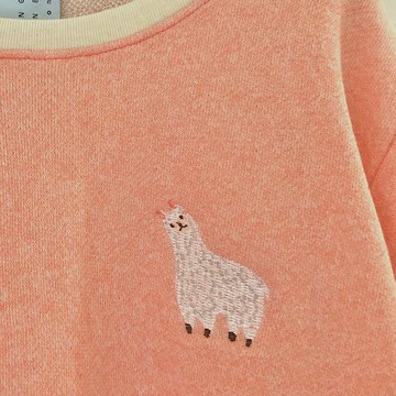 羊駝 / 刺繡 // 針織衫 / 顏色：鮭魚橘