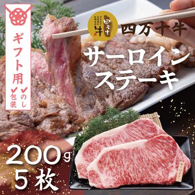 ふるさと納税 四万十市 四万十牛サーロインステーキ1kg(200g×5枚) R5-022G