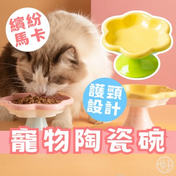 （馬卡色花朵❤️）寵物碗 寵物陶瓷碗 貓碗 狗碗 陶瓷碗 護頸碗 花朵陶瓷碗 寵物水碗 貓咪飼料碗 加高寵物碗 寵物餵食