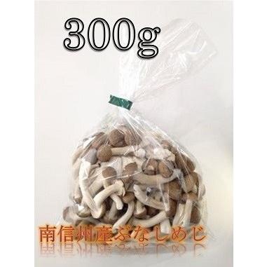 南信州産　カットぶなしめじ　300g