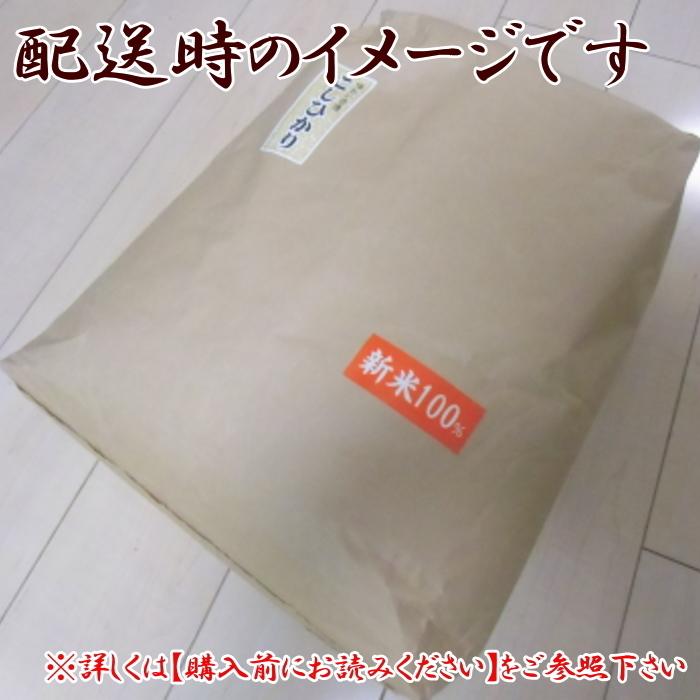 令和５年 お米 送料無料 ミルキークィーン 白米 20kg 富山県産 あすつく  安い 美味しい