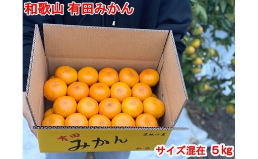 まる隆果樹園　和歌山有田産！早生みかん≪5kg≫