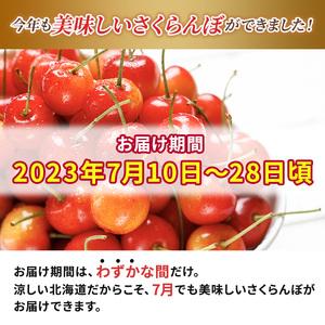 ふるさと納税  先行受付 2024年7月から出荷 北海道 仁木町産 サクランボ 紅秀峰 600g 厳選品  松山商店 北海道仁木町