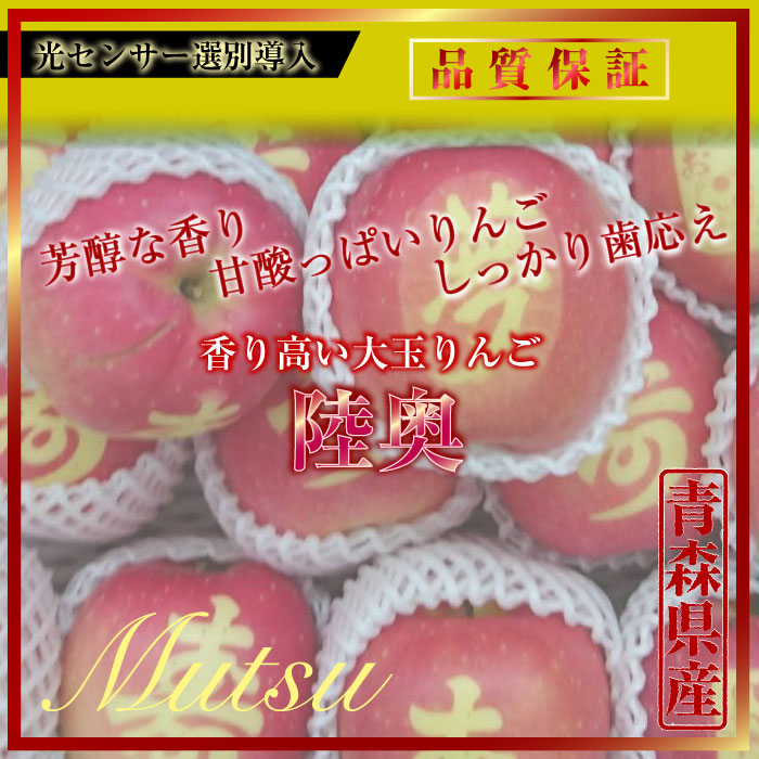 [予約 2023年 11月15日-12月15日の納品] 陸奥 約2kg 5-7玉 大玉 青森県産 岩手県産ほか むつ リンゴ 化粧箱 りんご　 冬ギフト お歳暮 御歳暮