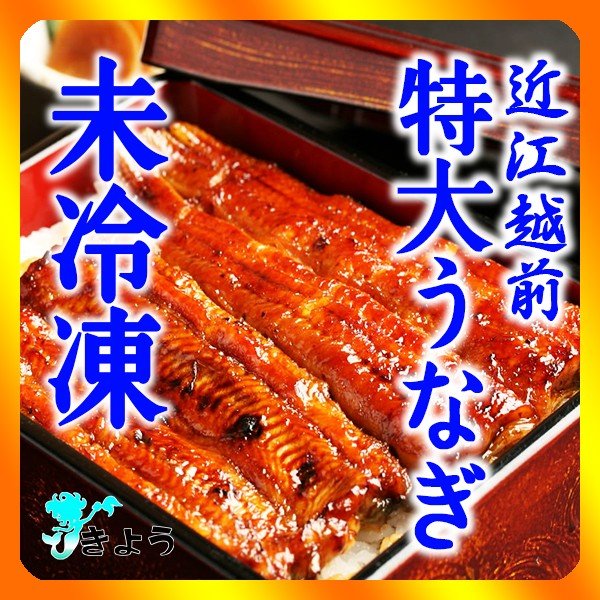 近江越前の焼きたて特大国産うなぎ　5尾　福井県産 滋賀県産 鰻 蒲焼 白焼き ひつまぶし 贈り物に ウナギ 暑中見舞い お中元