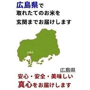 ミルキークイーン30kg(精米後27ｋｇ)送料無料・