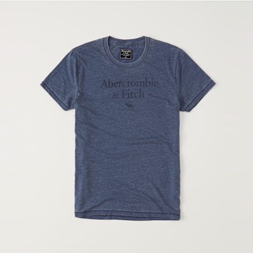 A&F 熱銷刺繡文字圖案短袖T恤-水藍色