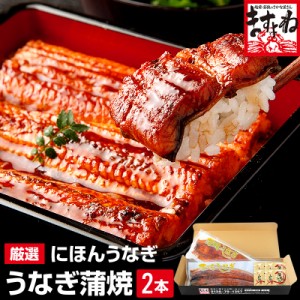 うなぎ 鰻 ギフト 選べる 特大にほんうなぎ蒲焼き(台湾産) 200g×2尾 or カット蒲焼100g×4パック 化粧箱付 タレ 山椒付き のしOK のし可