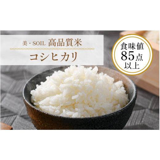 ふるさと納税 福井県 あわら市 《定期便》5kg×12回 60kg 特別栽培米 コシヒカリ 無洗米 低農薬 《食味値85点以上！こだわり極上無洗米》 ／ 福…