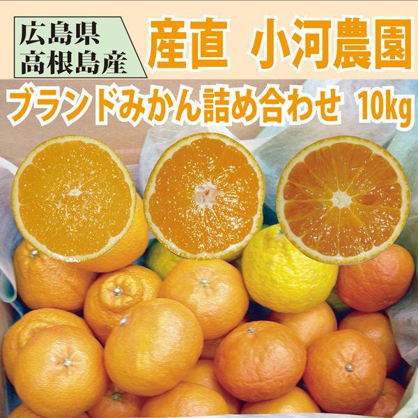 おがわ農園 みかん おまかせセット 10kg 1〜3品種入り