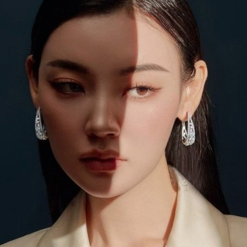 耳環女 耳飾 皓石耳環 ins風 耳釘 高級感 純銀耳環 造型耳環 耳扣 075
