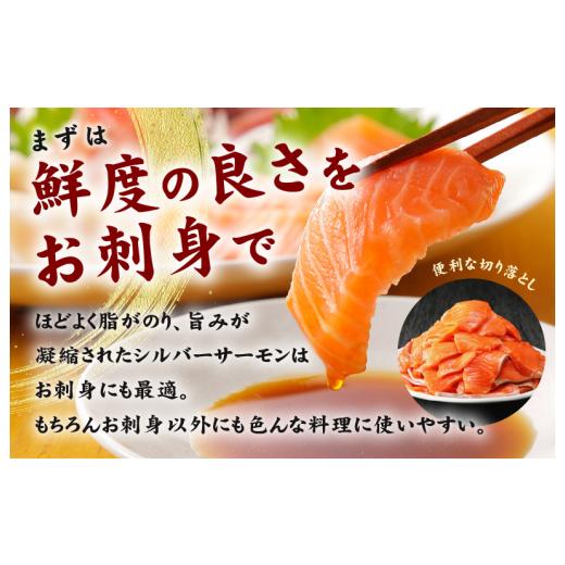 ふるさと納税 大阪府 泉佐野市 サーモン 切り落とし 900g 小分け 300g×3パック