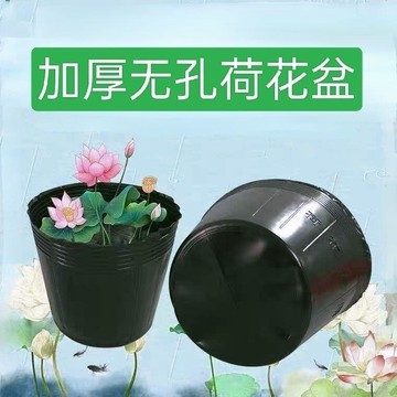 【川澤百貨】【可開發票】【無孔設計】無孔荷花盆無孔營養缽無洞蓮藕育苗盆加厚碗蓮大號無洞水培盆耐用