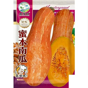 【原廠包裝】蜜本南瓜種子（Honey Pumpkin）35粒 栗子南瓜 香甜鬆綿 家庭菜園 陽台盆栽 爬藤植物 台灣現貨