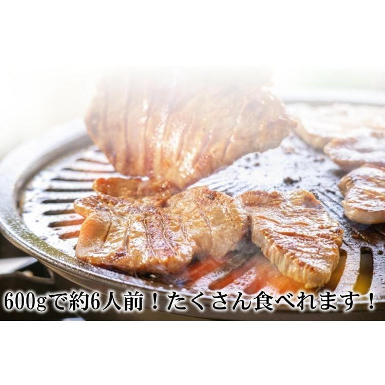 仙台 名物 熟成 厚切り 牛タン 600g(300g×2) 塩味 スライス 牛たん ぎゅうたん 宮城 送料無料ギフト お祝い 贈り物 お中元 お歳暮 御歳暮