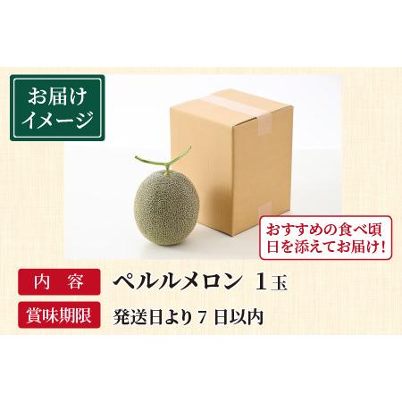 ふるさと納税 ペルルメロン 1玉（約2kg以上）青肉品種 高級メロン！ ／ マスクメロン 大玉 果物 フルーツ .. 福井県あわら市