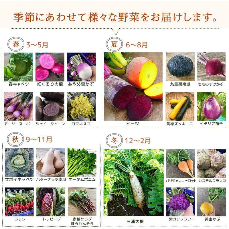 朝採り三浦野菜市場 三浦野菜 セット 5種前後 お取り寄せ大賞 金賞受賞 セット お取り寄せグルメ