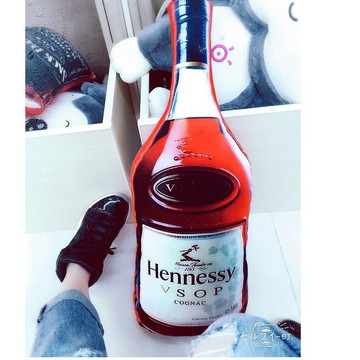 【不醉不歸】酒瓶抱枕 台灣出貨 惡搞禮物 生日禮物 交換禮物 酒鬼專屬 chivas 派對必備  仿真酒瓶【HL24】