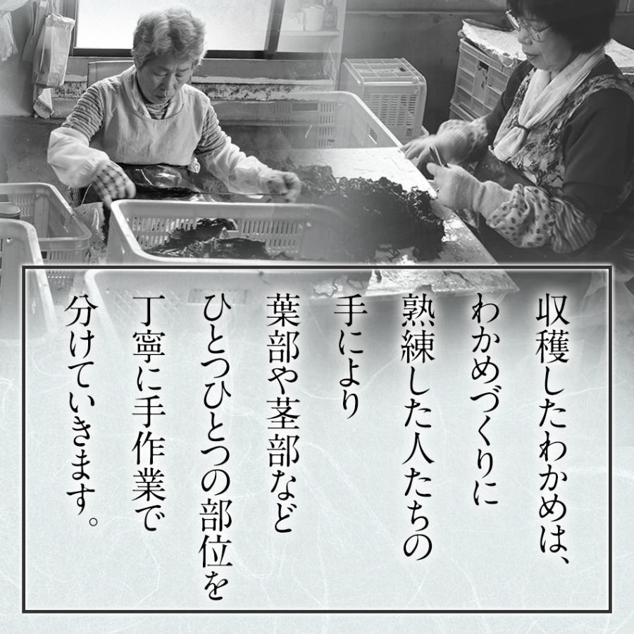 贈答用　わかめ　生わかめ　国産 箱入り 500g×3個　プレゼント用　わかめ　鳴門海峡　 鳴門わかめ　 徳島 　漁師が育てた鳴門海峡産　 生わかめ