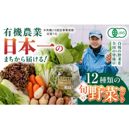 ふるさと納税 熊本県 山都町 有機野菜 オーガニック 12種 野菜セット 有機JAS認定 詰め合わせ オーガニック野菜 熊本県産 山都町産 産地直送 熊本直送 【株式…