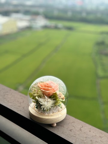 萬里挑一的浪漫 永生玫瑰玻璃盅 情人節禮物 告白禮物