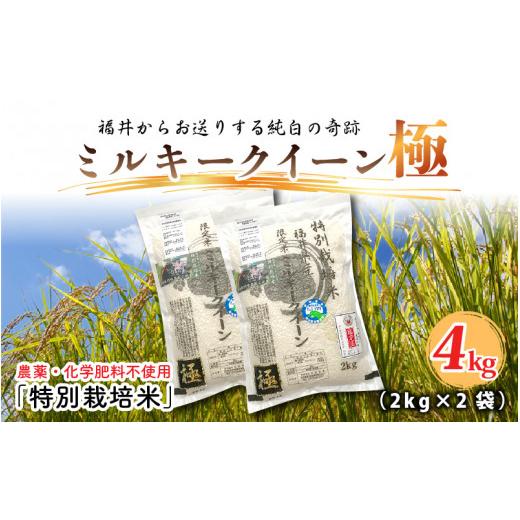 ふるさと納税 福井県 坂井市 お米の女王！無農薬ミルキークイーン極 4kg (2kg × 2袋)（玄米）【2023年10月上旬以降順次発…