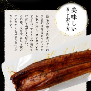 b10-058　 鰻 長焼き