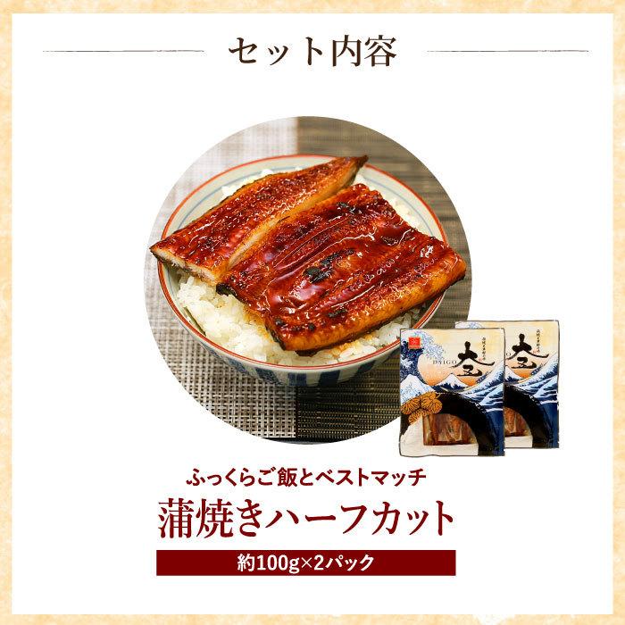 国産うなぎ蒲焼 カット蒲焼き2食セット 鰻 ウナギ 贈り物 ギフト プレゼント 送料無料