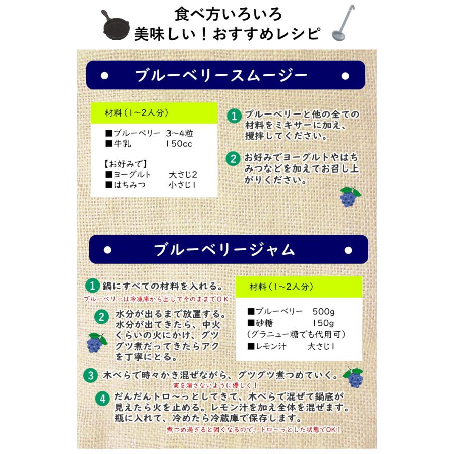 冷凍 ブルーベリー 約600g (100g×6個) ブルーベリー フルーツ 果物 指定日対応 送料無料 サイズ混合 母の日 アイス