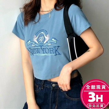 【梨卡】隔日到貨 女裝 上衣 短袖 T恤 短版上衣 刺繡上衣 夏天圓領 寬鬆上衣 修身上衣 韓版GA530【現貨24H】
