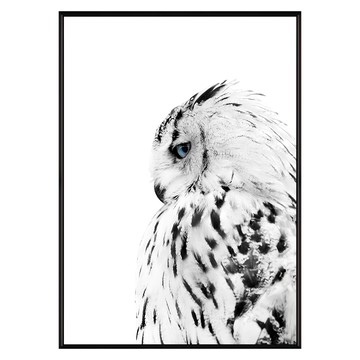 嘿美 貓頭鷹 掛畫  40 x 30cm  黑色