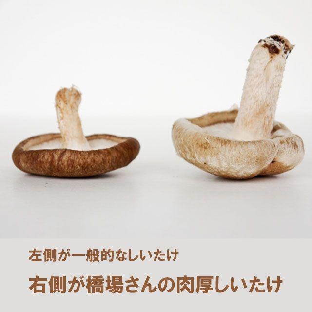 しいたけ 椎茸  約 200ｇ 無農薬 菌床 肉厚 大きい 生 椎茸 栽培20年以上 橋場農園 飛騨 高山