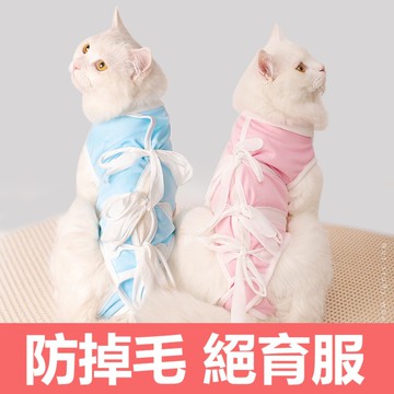 🌈PEt✨貓咪絕育服 母貓手術服 衣服防掉毛 斷奶 公貓防舔術后 寵物貓貓防護服