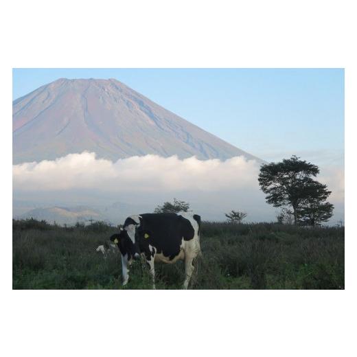 ふるさと納税 山梨県 富士河口湖町 富士山プレミアム牛乳1リットルパック（4本セット×2回）