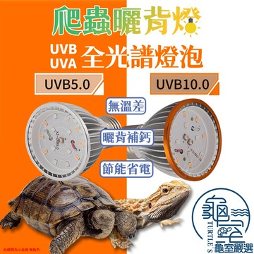 PJ小舖  爬蟲曬背燈UVB UVA全光譜燈泡 曬背燈 補鈣燈 烏龜曬背 爬蟲燈 兩棲爬蟲 陸龜 守宮 蜥蜴 鬆獅蜥 蛇