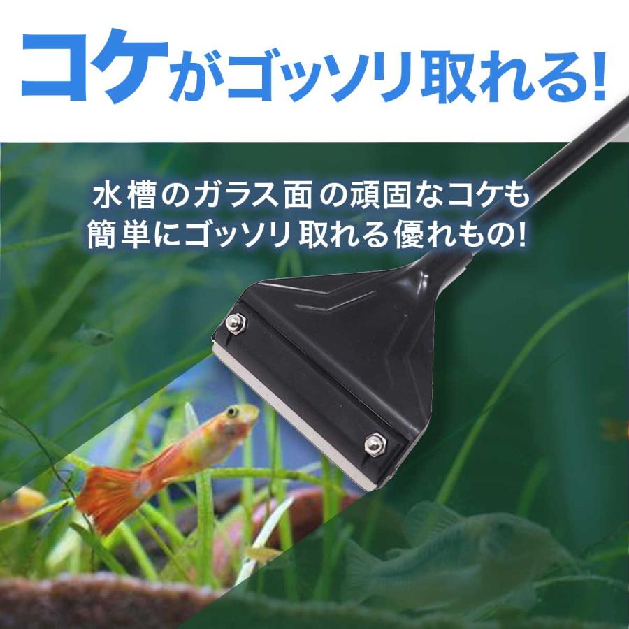 スクレーパー 替刃 アクアリウム 水槽 掃除 苔取り プロレイザー コケ