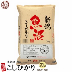 ＼ セール ／ 魚沼産 コシヒカリ 20kg(5kg×4袋) 精白米 国産 令和5年産 国産コシヒカリ100％ 送料無料 精米工場からの直送品