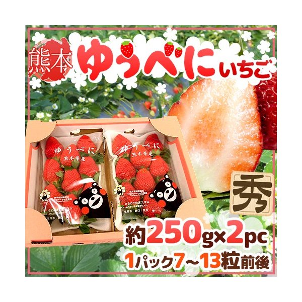 熊本県 ”ゆうべにいちご（熊紅いちご）” 秀品 2パック入り（1パック 7〜13粒 約250g）×《1箱》 送料無料